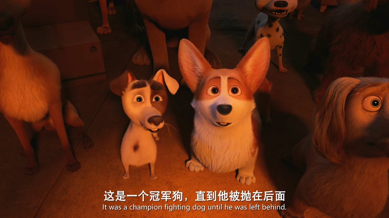 2019动画喜剧《女王的柯基》BD720P&BD1080P.英语中英双字截图;jsessionid=7OJToMMzbFlEJPrpJlwOXFBQ-HN8MCjvBAnW3hnP