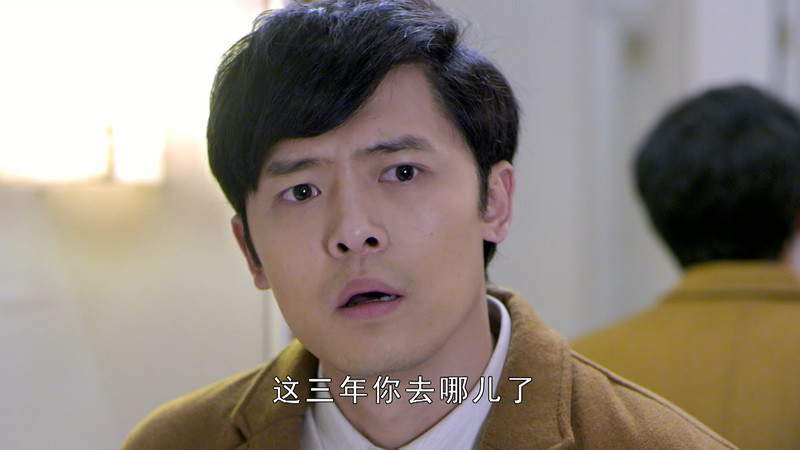 2017爱情电视剧《最好的安排》40集全.HD1080P.国语中字截图