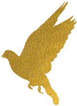 福建高速养护网 -  千亿（中国）体育登录入口