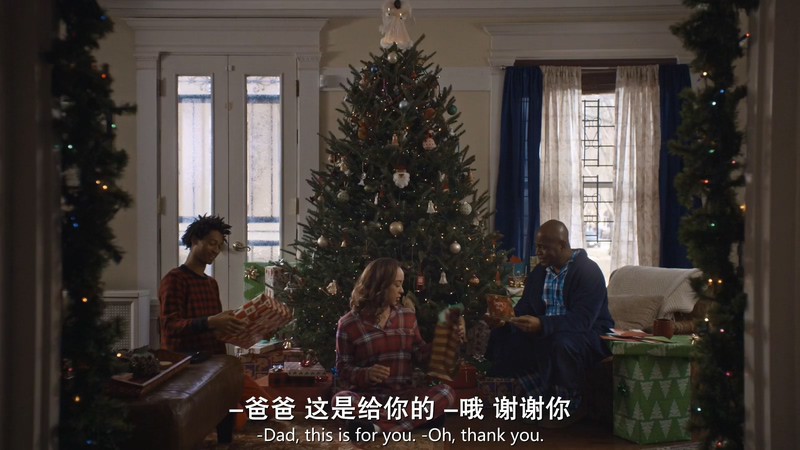 2019爱情犯罪《假日劫》HD1080P.英语中英双字截图