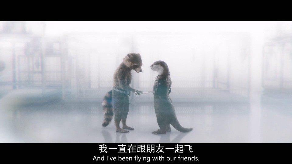 2023科幻动作《银河护卫队3》HD1080P.英语中英双字截图;jsessionid=urefJibusUKFcHf1nqCouKlsWo1kCh-UeH_ZFmCz