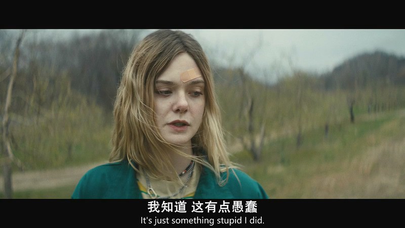 2018美国科幻《此刻只有你共我》BD1080P&BD720P.英语中英双字截图