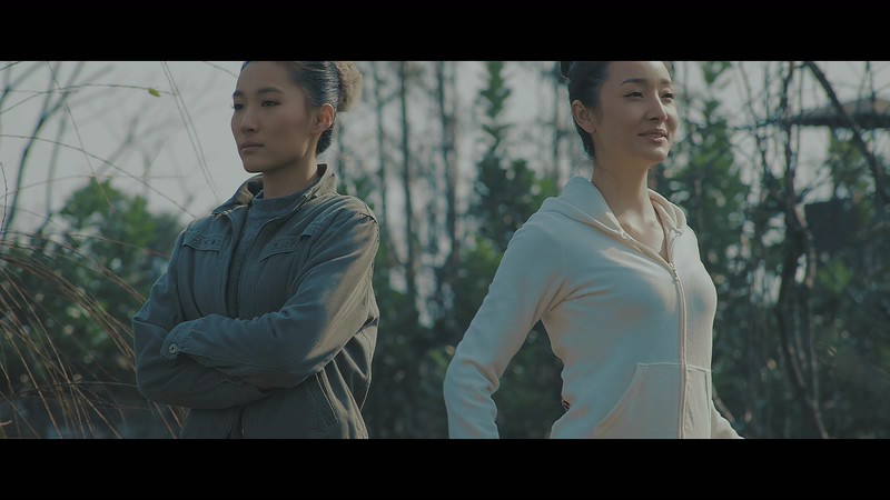 2019国产剧情《偷龙换凤》HD1080P.国语中字截图