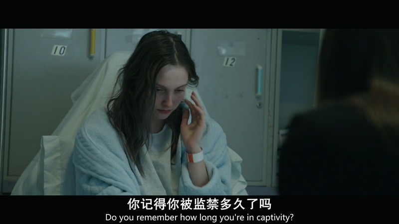 2018美国惊悚《夜幕猎人》HD720P&HD1080P.英语中英双字截图