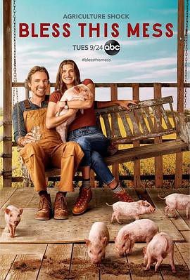 节上生枝第二季封面图