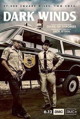 黑暗之风封面图