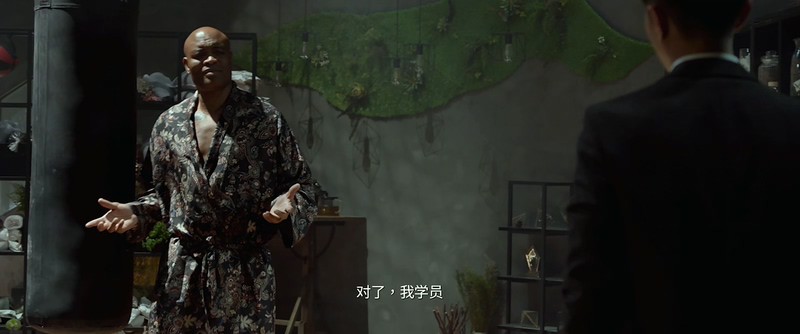 2019动作犯罪《九龙不败》HD1080P.国语中字截图