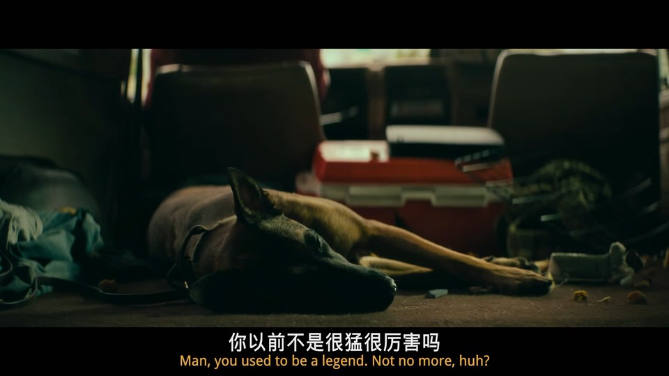 2022美国喜剧《忠犬》BD1080P.英语中英双字截图