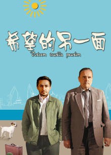 希望的另一面封面图