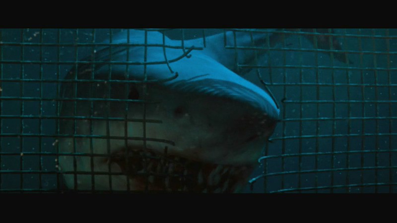 深海狂鲨剧照