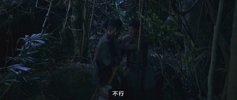 2019国产动作《不测之渊》HD1080P.国语中字截图