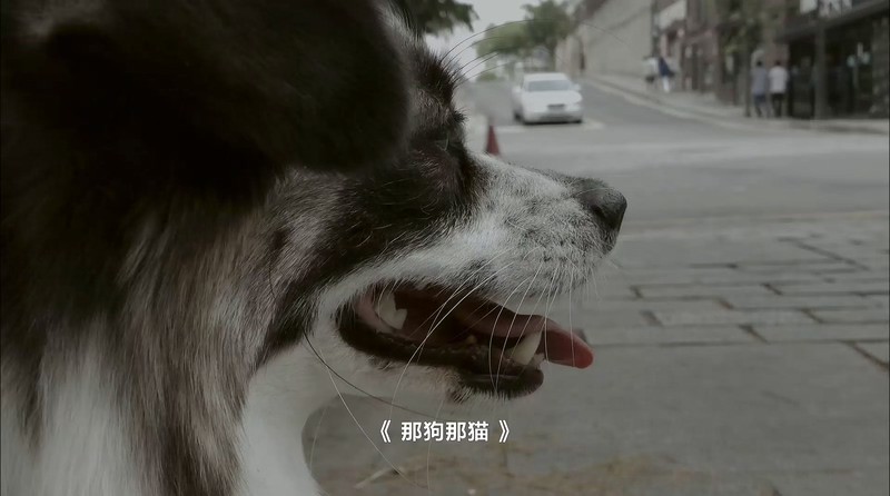 2012爱情喜剧《那狗那猫》HD1080P.韩语中字截图;jsessionid=IEYrzLWkHuy60cd8qd42ZDlflTgoA4rc6rOkbe_l