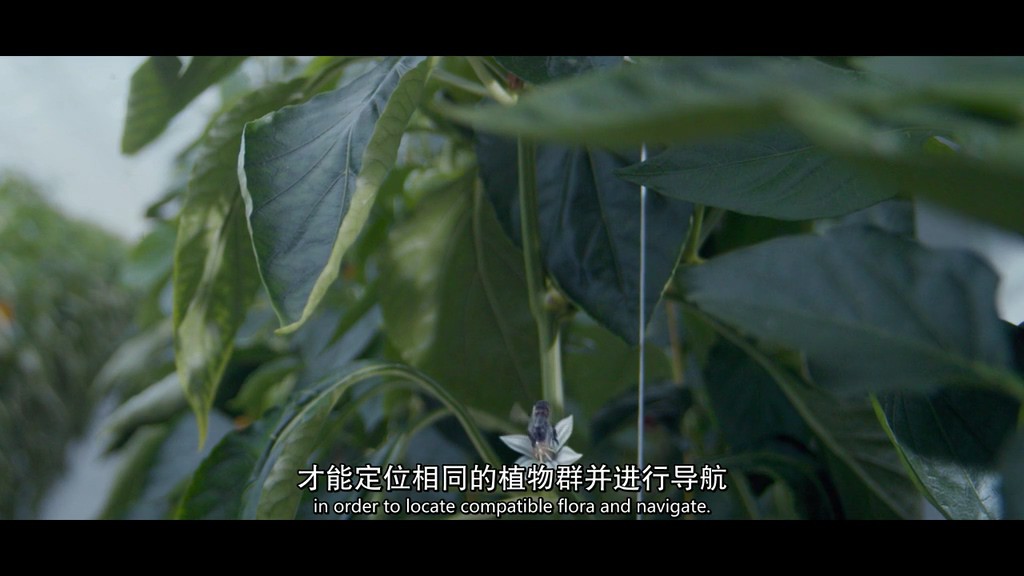 《黑镜第三季》6集全.2016科幻惊悚.HD720P.中英双字截图;jsessionid=w-2GygoR52fs3z1ee8VePlP8eTB3YFt8OZnIsiPe