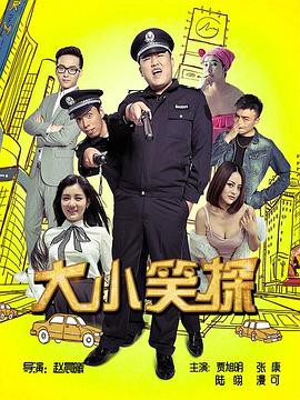大小笑探封面图