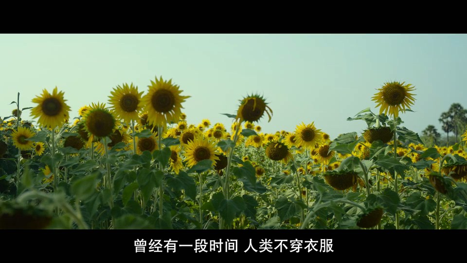 2023印度剧情《儿子的选择》HD1080P.泰米尔语中字截图;jsessionid=_uXDHjkYe1goq1Og_IzVATFGxVzUCErgBukWF1GI