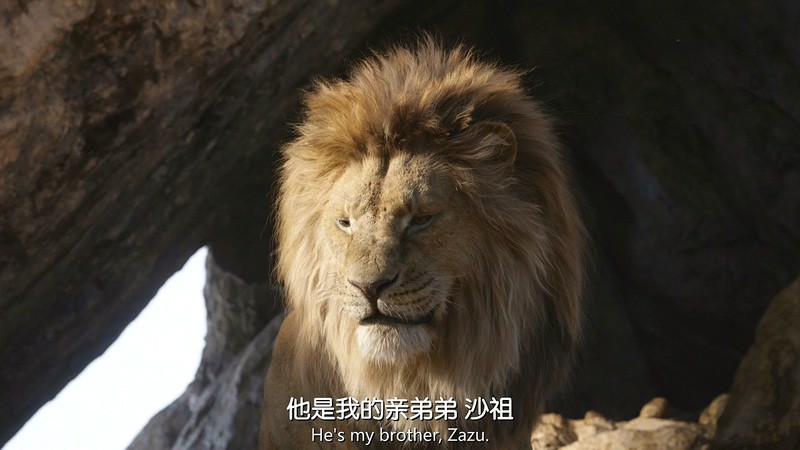 2019动画冒险《狮子王》BD720P&BD1080P.国粤英三语中字截图