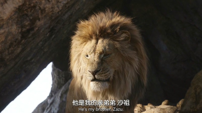 狮子王1剧照