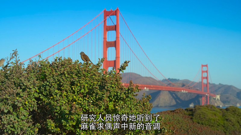 2021美国纪录《地球改变之年》HD720P&HD1080P.英语中字截图