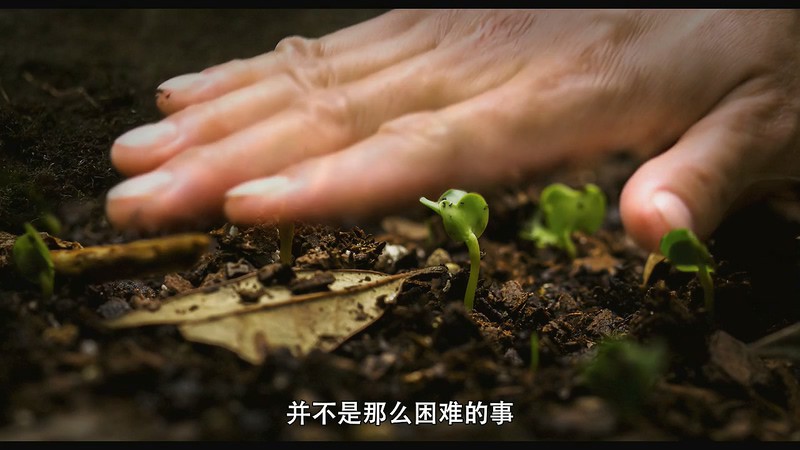 2020美国剧情《亲吻地面》HD720P&HD1080P.英语中字截图
