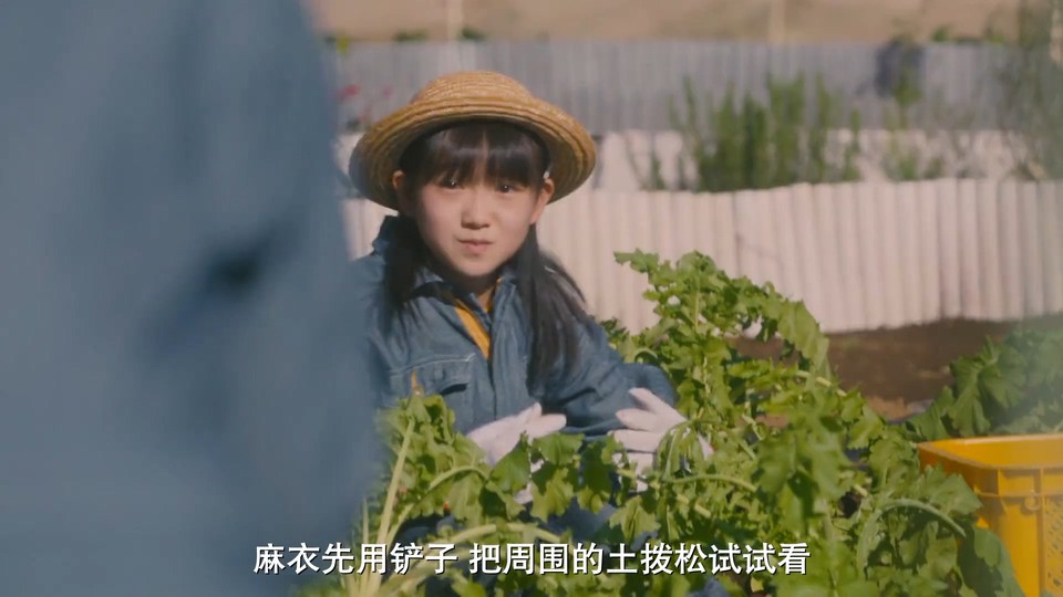 2022日剧《妻子变成小学生》10集全.HD1080P.日语中字截图;jsessionid=daxtBFiugYYoPbv5nEpj-U2Py1nVjlZuoupZHQDi