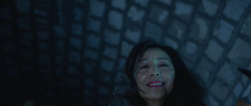 2018国产悬疑《壹号别墅》HD1080P.国语中字截图