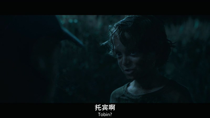 2019惊悚恐怖《高草丛中》HD720P&HD1080P.英语中英双字截图