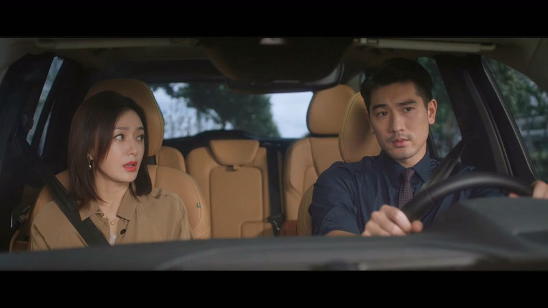 2020国剧《怪你过分美丽》36集全.HD1080P.国语中字截图