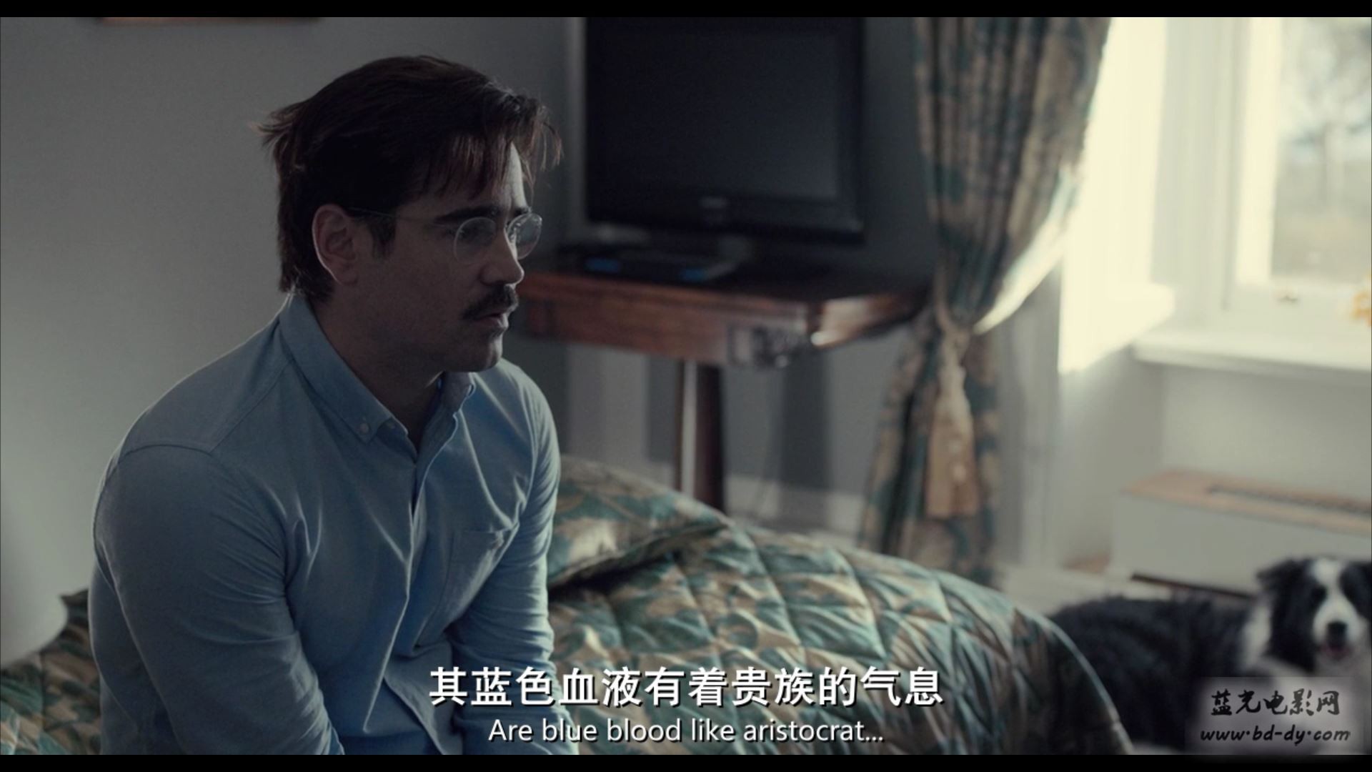 《龙虾/单身动物园》2015高分科幻爱情.BD720P.高清中英双字截图