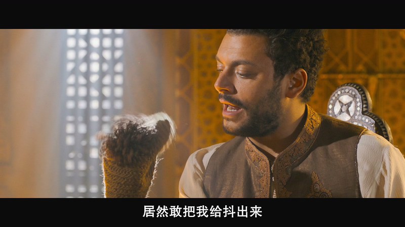 2018法国喜剧《阿拉丁与神灯2》BD720P&BD1080P.法语中字截图