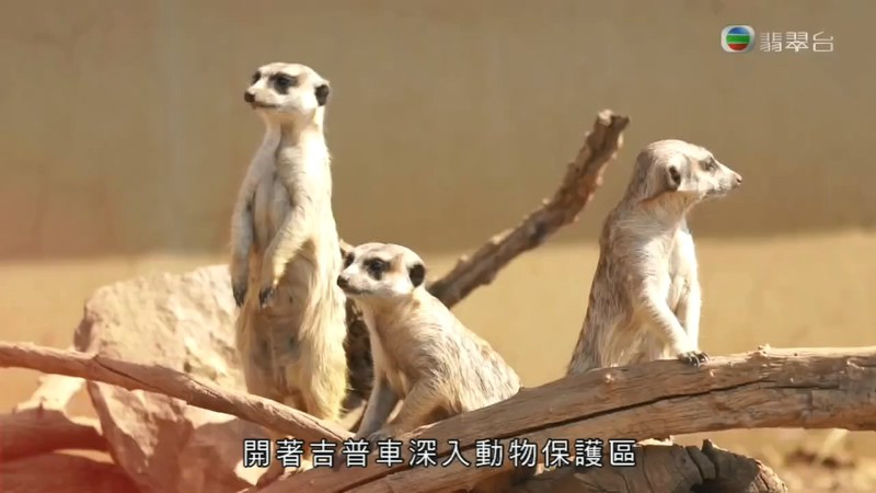 2019香港真人秀《12個夏天》更至07集.HD720P.粤语中字截图;jsessionid=8Cso_OLy_A7_-IpeEi67j60Ed0E2RqKJ8wq0vuQk
