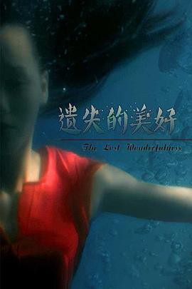 遗失的美好封面图