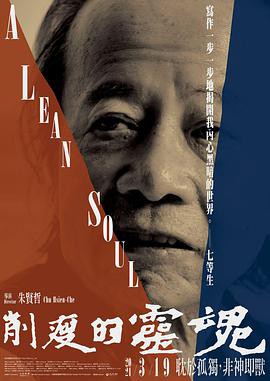 他们在岛屿写作：削瘦的灵魂封面图