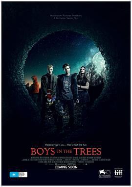 树中男孩封面图