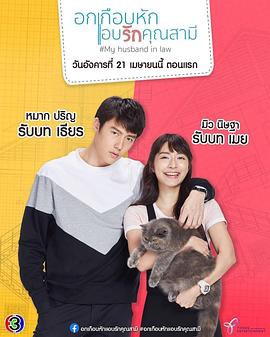 我的法定老公国语封面图