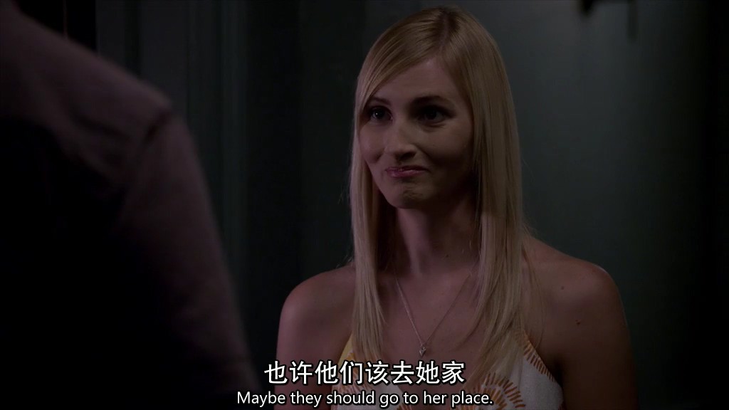 2013犯罪悬疑《犯罪心理第九季》24集全.HD1080P.英语中英双字截图
