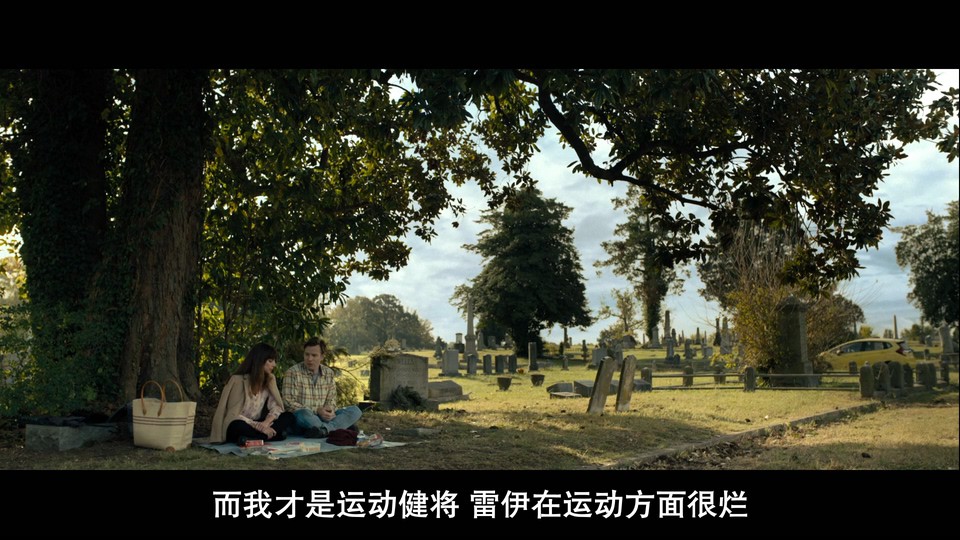 2022美国喜剧《雷蒙德和雷》HD1080P.英语中字截图