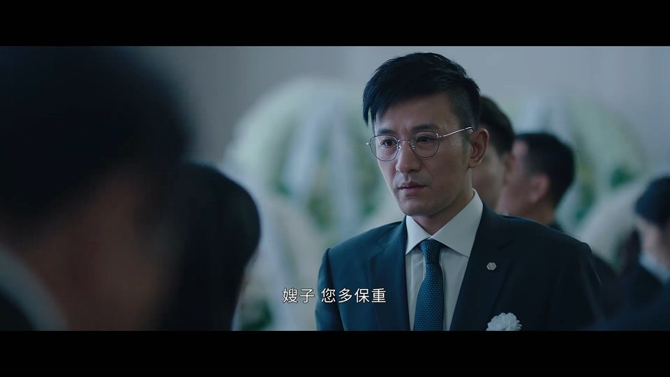 不期而至全集 2022国剧HD1080P 迅雷下载