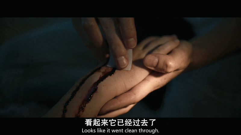 2019惊悚恐怖《远古邪蛛》BD720P&BD1080P.英语中英双字截图