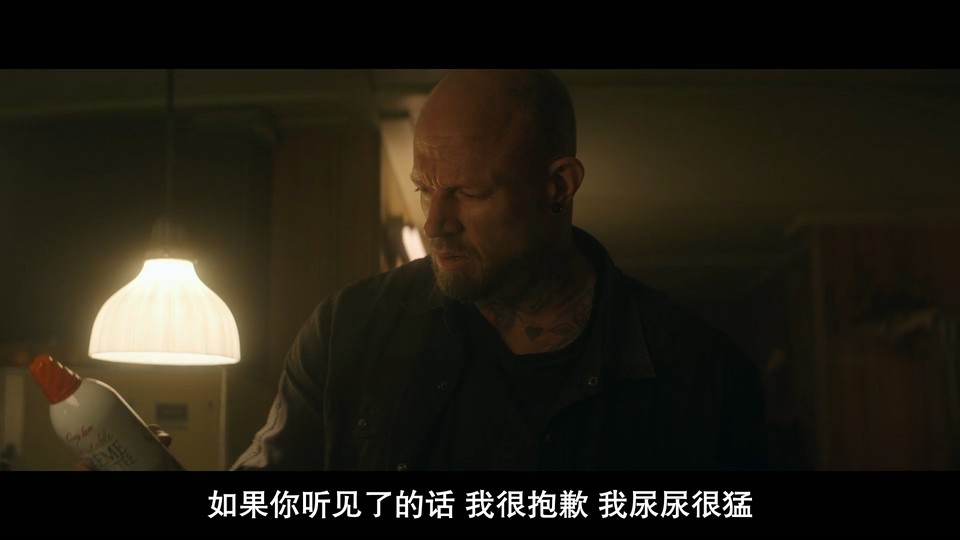 2022动作惊悚《多伦多来的男人》HD1080P.英语中字截图