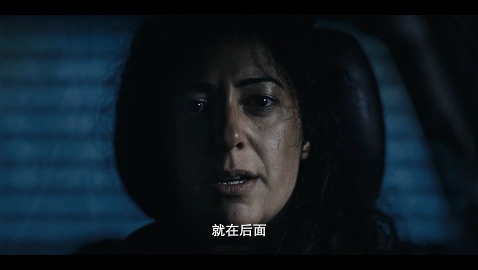 2021动作惊悚《美国升华》HD1080P.英语中字截图