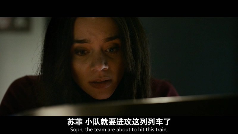 2021犯罪动作《特种空勤团：红色通缉令》HD720P&HD1080P.英语中英双字截图