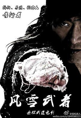 风雪武者封面图