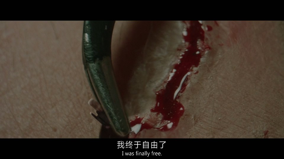 2023美国惊悚《灵魂刺杀令》BD1080p.中英双字