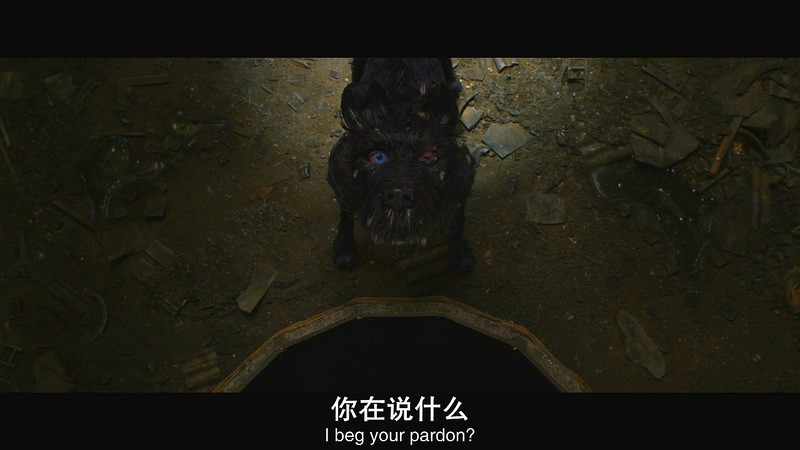 2018动画冒险《犬之岛》BD720P.英语中英双字截图