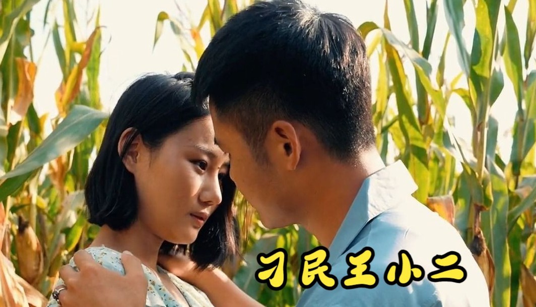 刁民王小二封面图