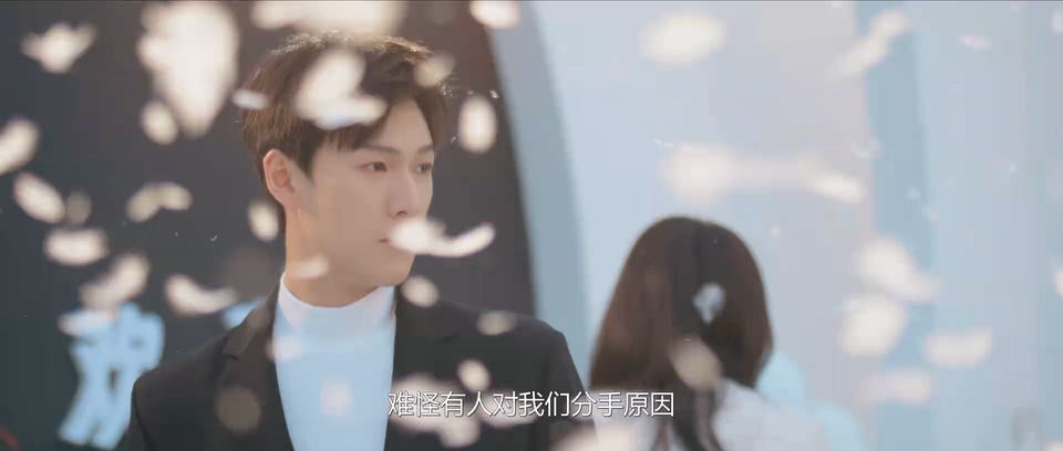 2024国剧《再见，怦然心动》24集全.HD1080P.国语中字截图