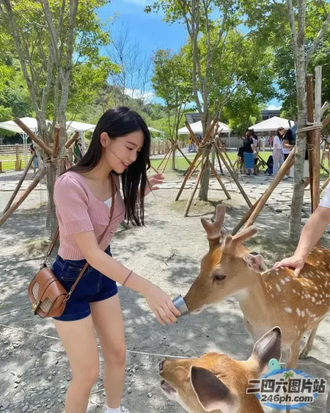 Araffe 在动物园喂鹿，旁边站着一名女子
