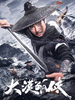 大漠孤侠封面图