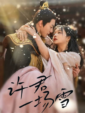 许君一场雪封面图