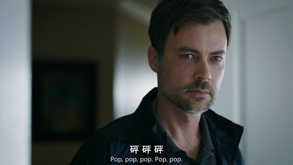 2024美剧《寻踪者 第二季》20集全.HD1080P.英语中英双字截图